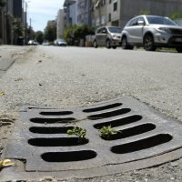 Začepljeni slivnici u Zagrebu