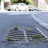 Začepljeni slivnici u Zagrebu