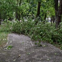 Olujno nevrijeme rušilo stabla i nosilo crijepove s krovova kuća