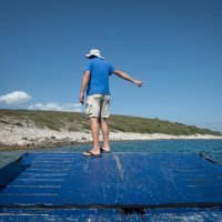 Neuspjelo spašavanje magaraca s Kornata