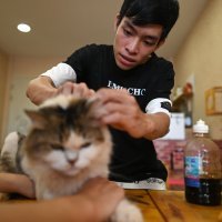 Nguyen Thanh Binh u kafiću za udomljavanje mačaka