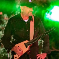 Koncert Vlatka Stefanovskog u ljetnom kinu Slavica