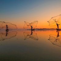 Pobjedničke amaterske fotografije