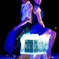 Plesna predstava 'Correr o Fado' u sklopu 66. Splitskoga ljeta