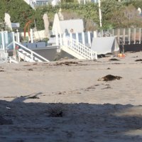 John Legend i Chrissy Teigen