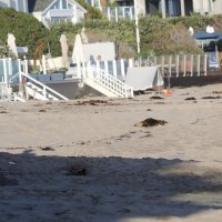 John Legend i Chrissy Teigen