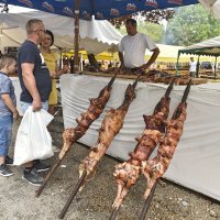 Svetkovina Gospe Sinjske