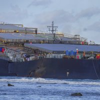 Japanski brod Wakashio