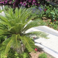 Apartmani MG Ravlić