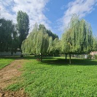 Samsung Galaxy Note20 Ultra primjeri fotografija