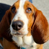 Samsung Galaxy Note20 Ultra primjeri fotografija