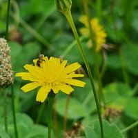 Samsung Galaxy Note20 Ultra primjeri fotografija