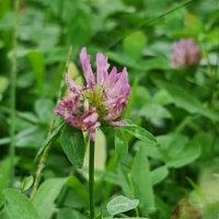 Samsung Galaxy Note20 Ultra primjeri fotografija