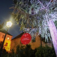 Noćni ugođaj u parku Bele IV. uz svjetlosno-zvučnu instalaciju