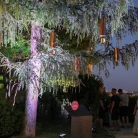 Noćni ugođaj u parku Bele IV. uz svjetlosno-zvučnu instalaciju