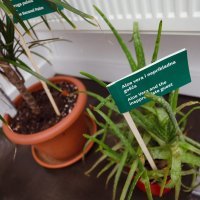 Hotel za biljke u Muzeju prekinutih veza