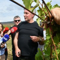 Vinograd Miroslava Škore