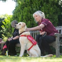 Psi njuše koronaviruse