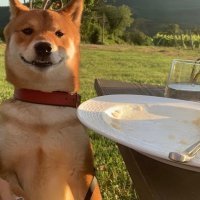 Franka Batelić i Vedran Ćorluka