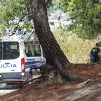 Potraga za Branimirom Čaletom