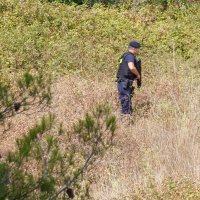 Potraga za Branimirom Čaletom