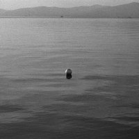 30 stupnjeva, Fedor Vučemilović