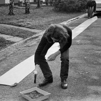 Linija, Fedor Vučemilović