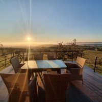 Najslađa ruta štrudle