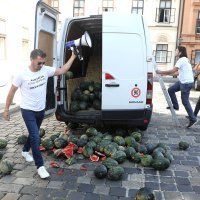 Ivan Vilibor Sinčić s poljoprivrednicima istovario lubenice pred zgradu Vlade