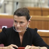 Zanimljive maske u Hrvatskom saboru