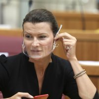 Zanimljive maske u Hrvatskom saboru