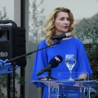 Koktel s veleposlanikom SAD-a