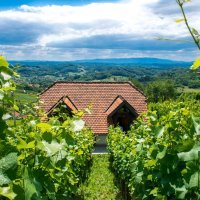 Wine Hill Rest House