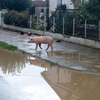 Posljedice uragana u Grčkoj
