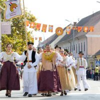 Svečani mimohod sudionika 55. Vinkovačkih jeseni