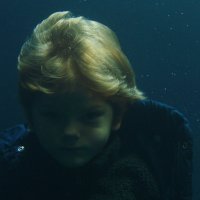 Zora, Dalibor Matanić