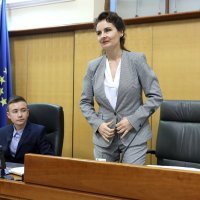 Irena Petrijevčanin Vuksanović