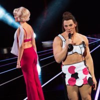 Fabijan Pavao Medvešek