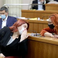 Ivana Posavec Krivec, Romana Nikolić