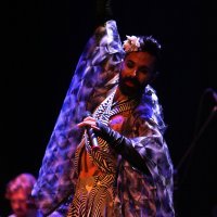 Božo Vrećo nastupio na Porto Etno festivalu