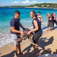 Povodom Svjetskog dana zaštite životinja, Aquarium Pula vratio oporavljene glavate želve u more