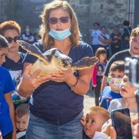 Povodom Svjetskog dana zaštite životinja, Aquarium Pula vratio oporavljene glavate želve u more