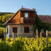 Vila Kitokret, Kutjevo