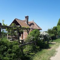 Vila Kitokret, Kutjevo