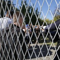 Sukob policije i Torcide uoči utakmice Kupa u Županji