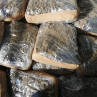 Spaljivanje droge u Našicama