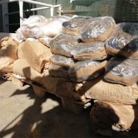 Spaljivanje droge u Našicama