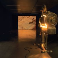 Dušica Dražić, Wim Janssen, Projektor