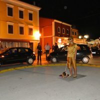 Dragana Sapanjoš, Pilot, preformans