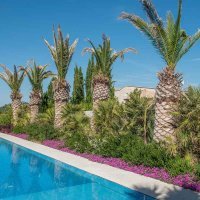 Vila Novitas na Murtertu (4)